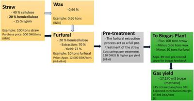 Biogas Technology as an “Engine” for Facilitating Circular Bio-Economy in Denmark—The Case of Lolland & Falster Municipalities Within Region Zealand